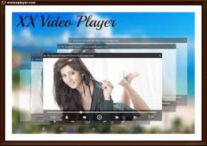 pinterestvideodownload com