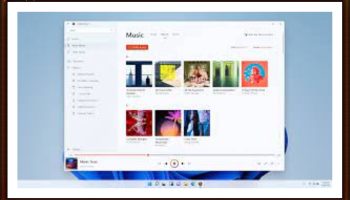 watch in the tall grass